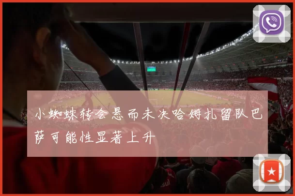 小蜘蛛转会悬而未决哈姆扎留队巴萨可能性显著上升